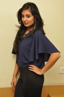 Bhanu Sri Mehra Gallery
